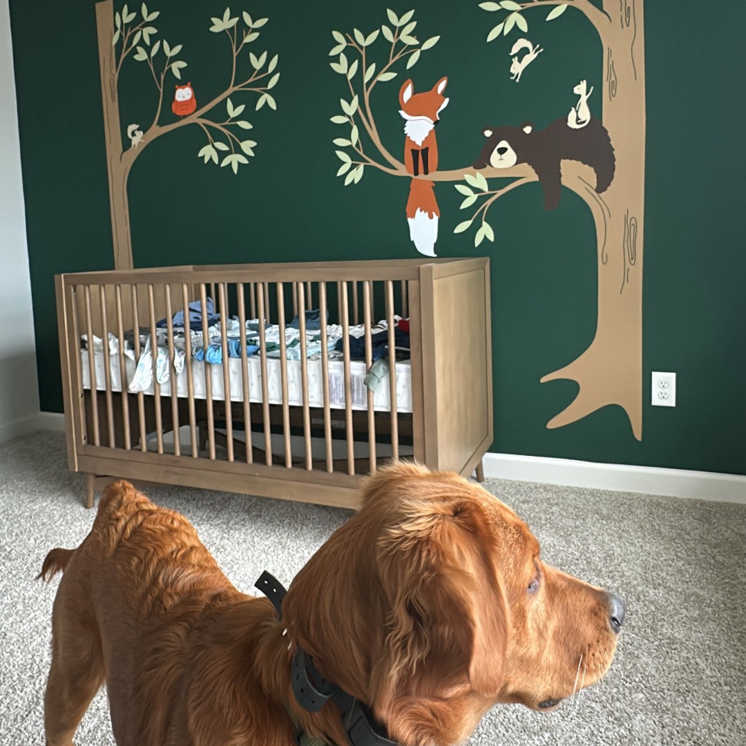 Photo shared by Rachael for their Babylist baby registry.