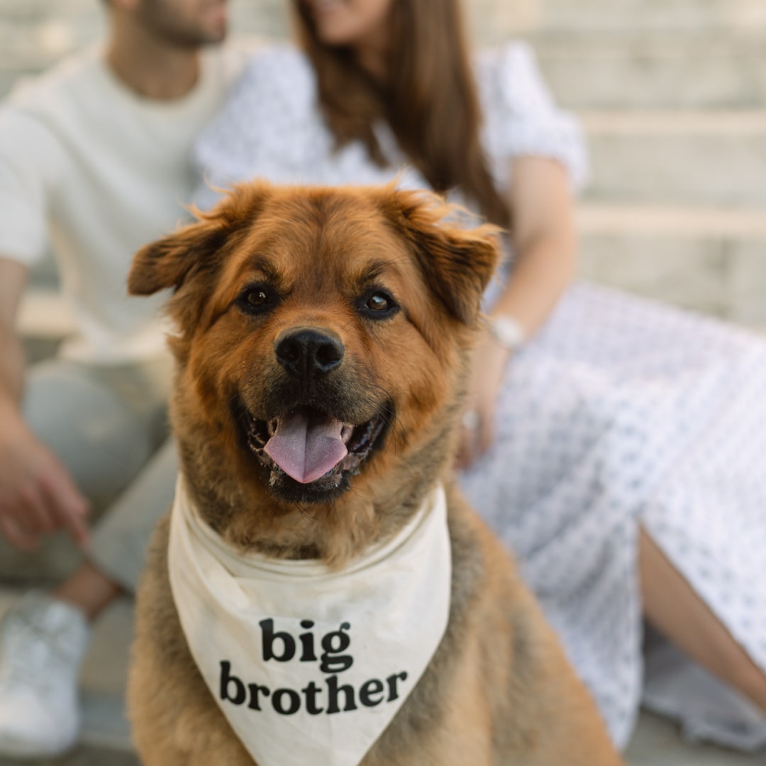 Photo shared by Natalie for their Babylist baby registry.