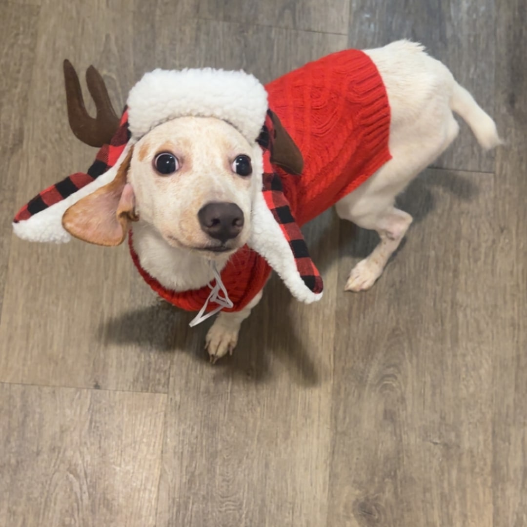 Photo shared by Laura for their Babylist baby registry.