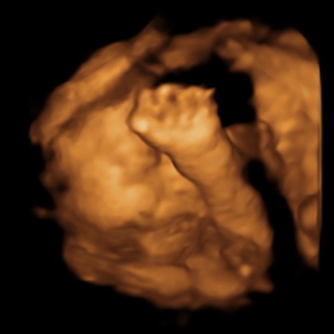 Photo shared by Colbie for their Babylist baby registry.