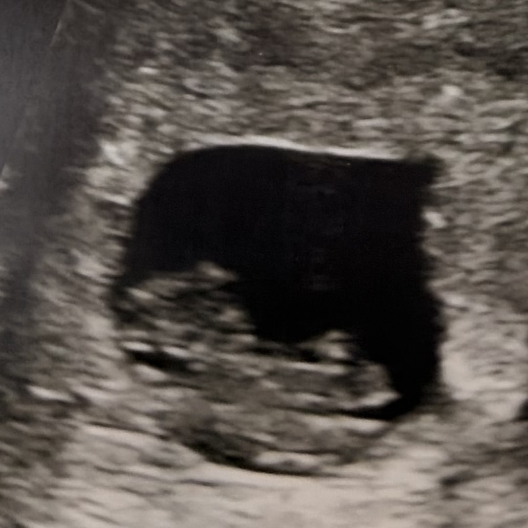 Photo shared by Amy for their Babylist baby registry.