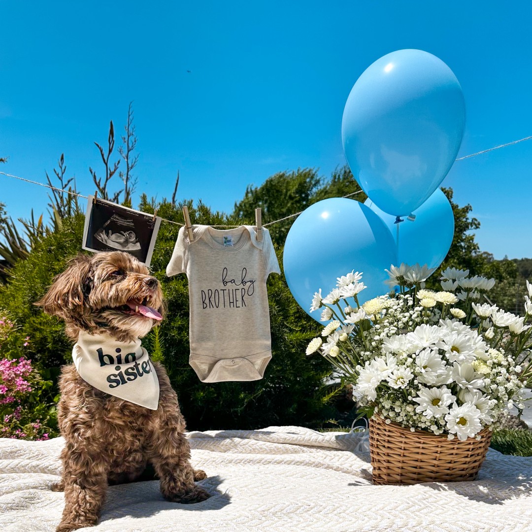 Photo shared by Monique & for their Babylist baby registry.