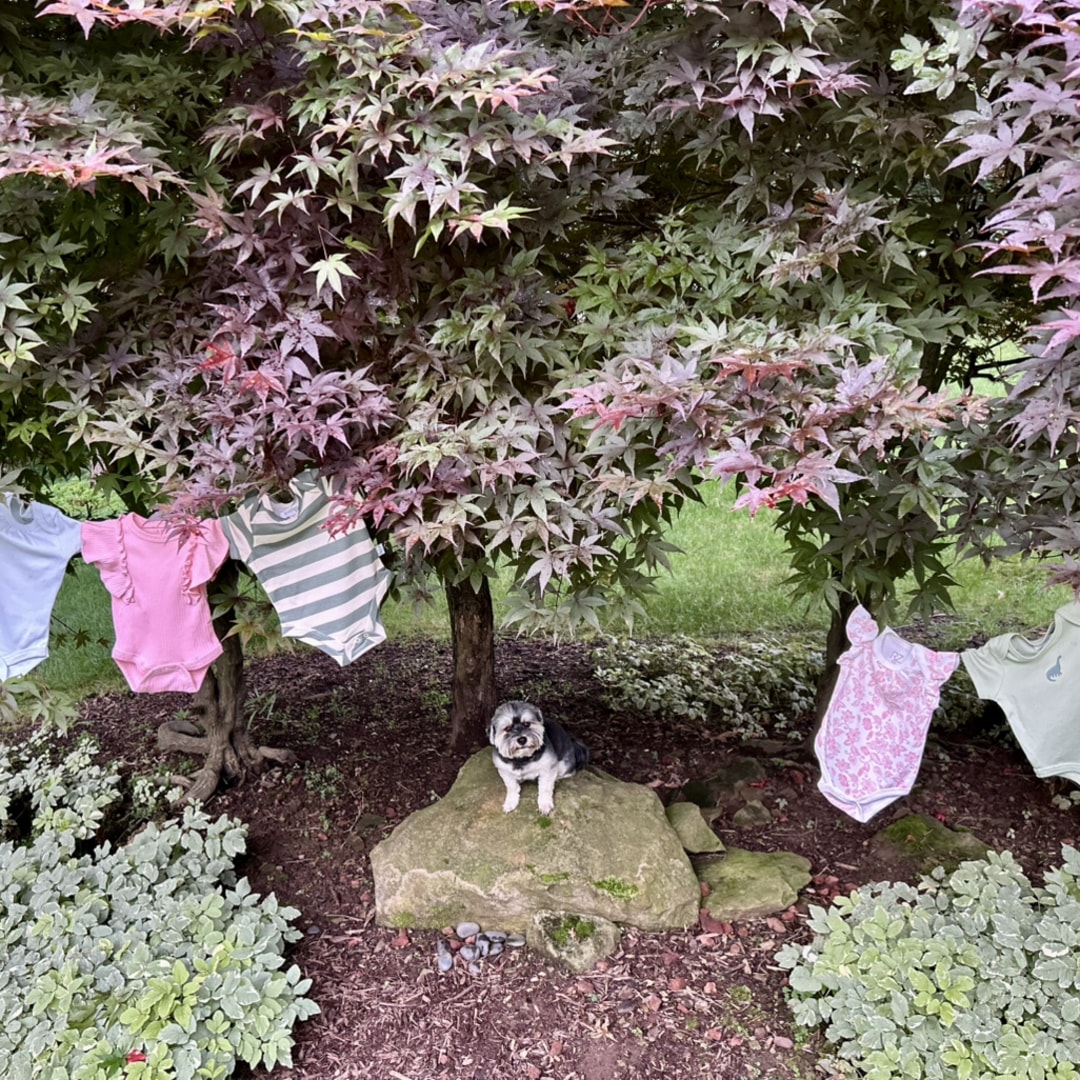 Photo shared by Sierra for their Babylist baby registry.