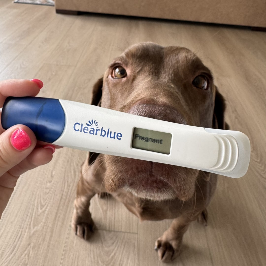 Photo shared by Rose for their Babylist baby registry.