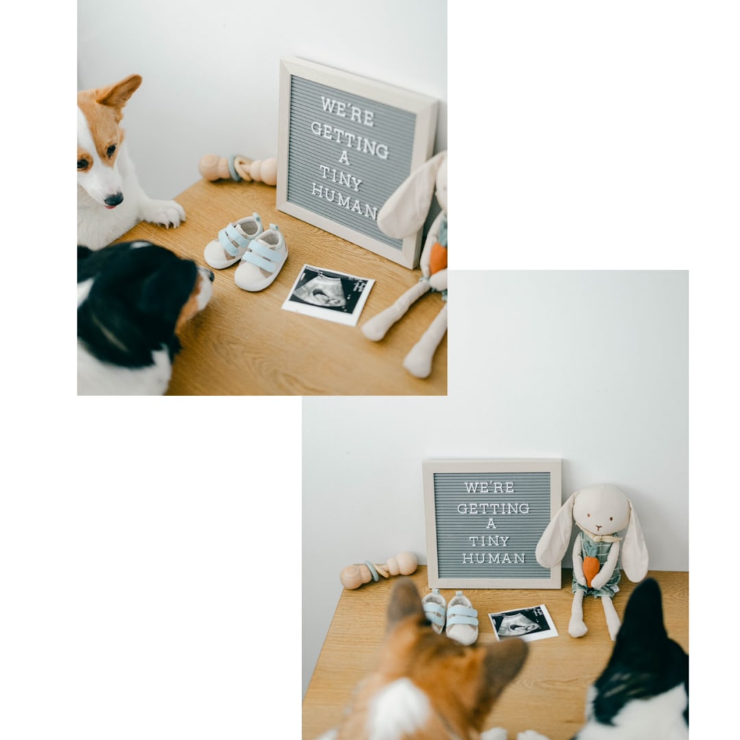 Photo shared by Yadira for their Babylist baby registry.