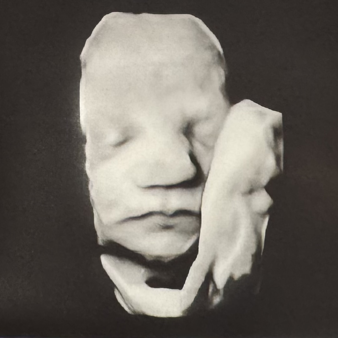 Photo shared by Emily for their Babylist baby registry.
