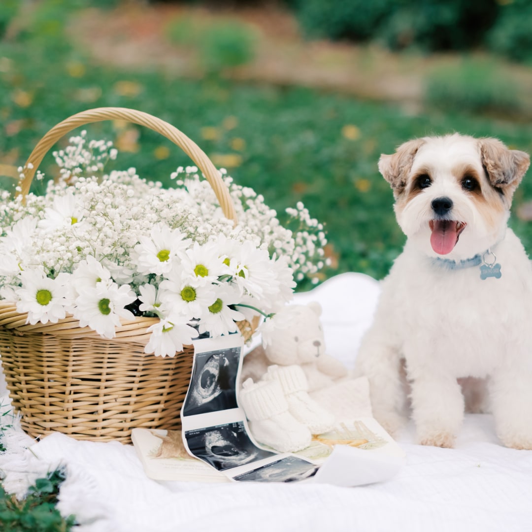 Photo shared by Madison for their Babylist baby registry.