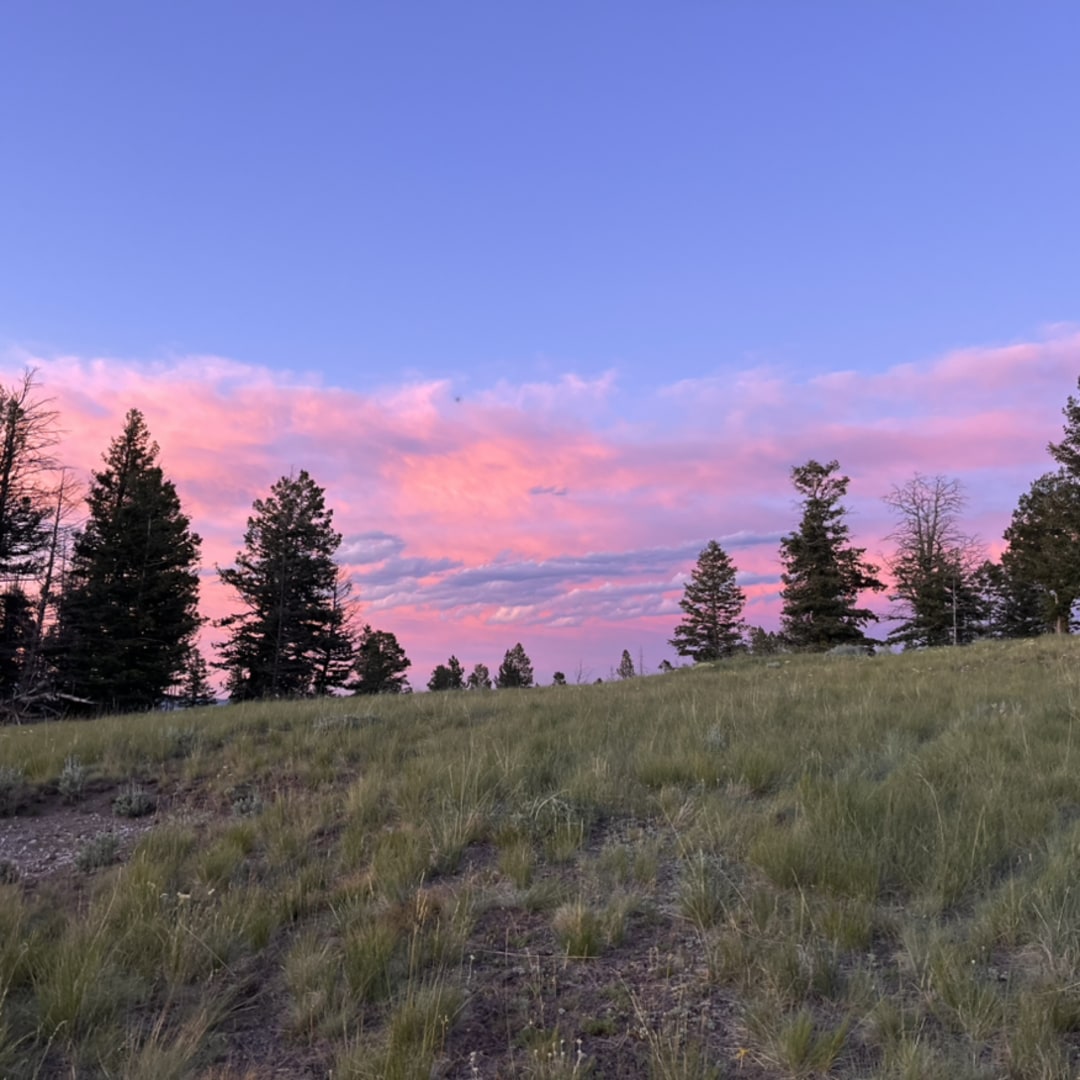 Photo shared by Kimberly for their Babylist baby registry.