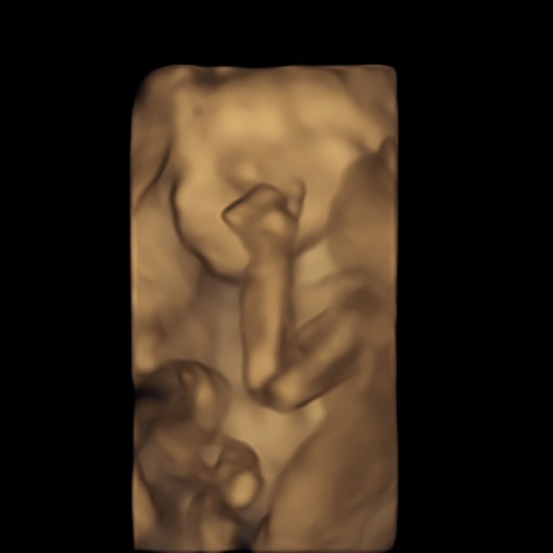 Photo shared by Natalie for their Babylist baby registry.