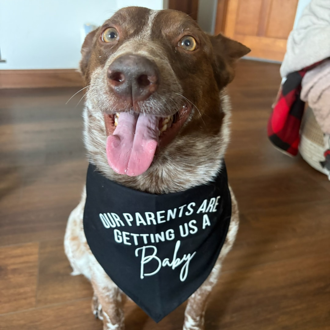 Photo shared by Emma for their Babylist baby registry.