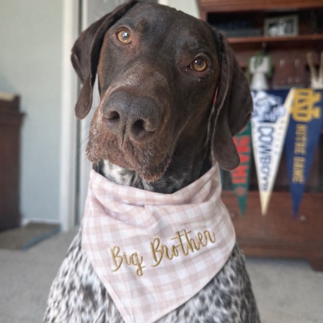 Photo shared by Mackenzie for their Babylist baby registry.