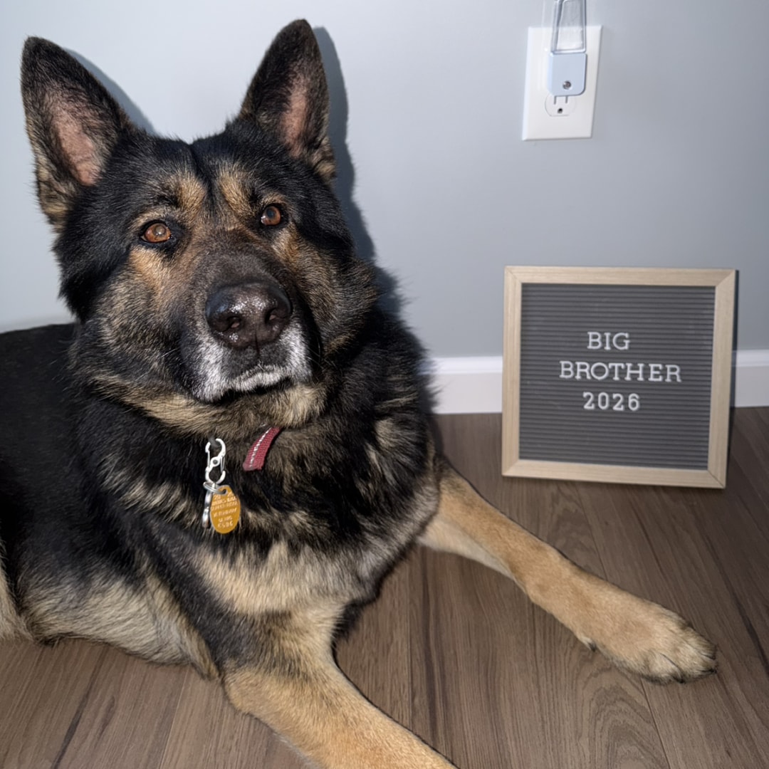 Photo shared by Sidney for their Babylist baby registry.