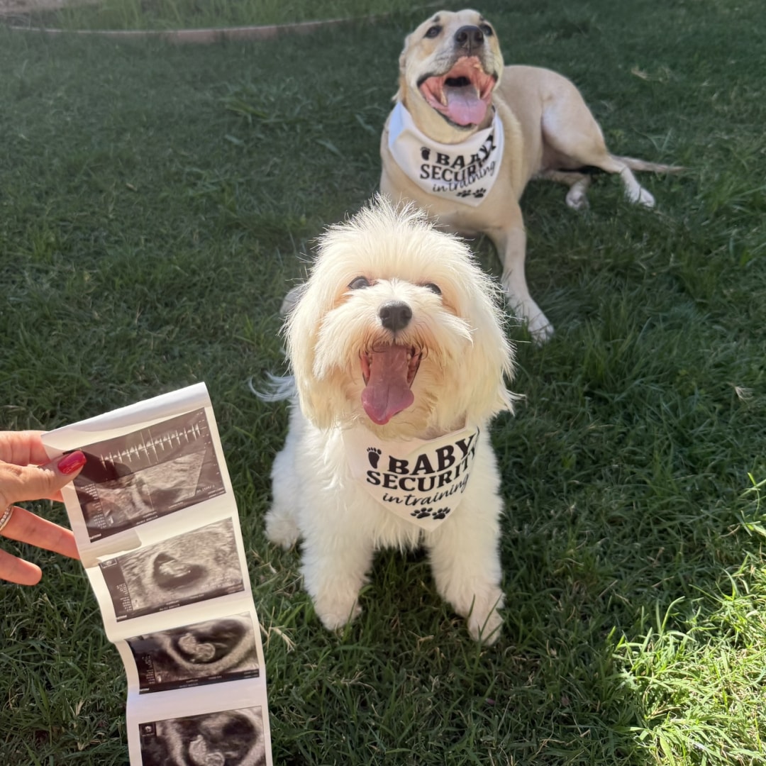 Photo shared by Eliza for their Babylist baby registry.