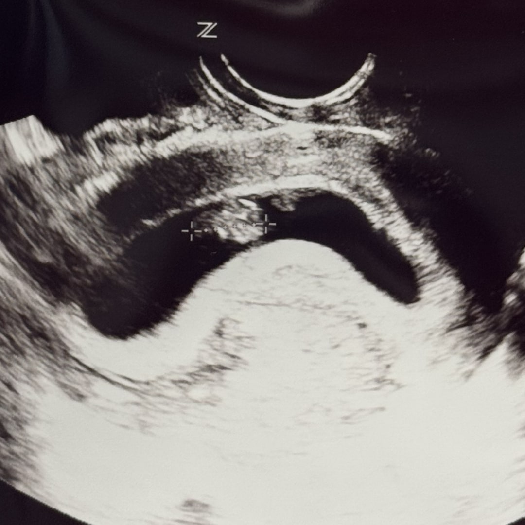 Photo shared by Garrett & Haley for their Babylist baby registry.