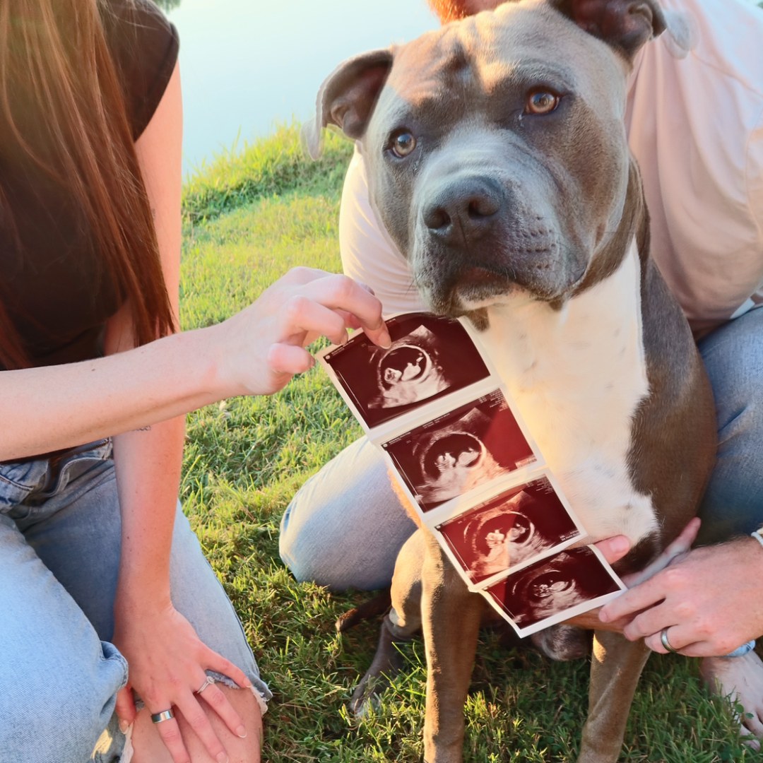 Photo shared by Alexis for their Babylist baby registry.