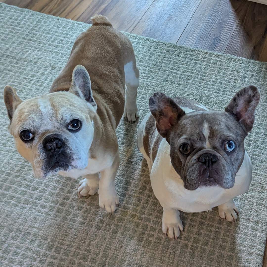 Photo shared by Emily for their Babylist baby registry.