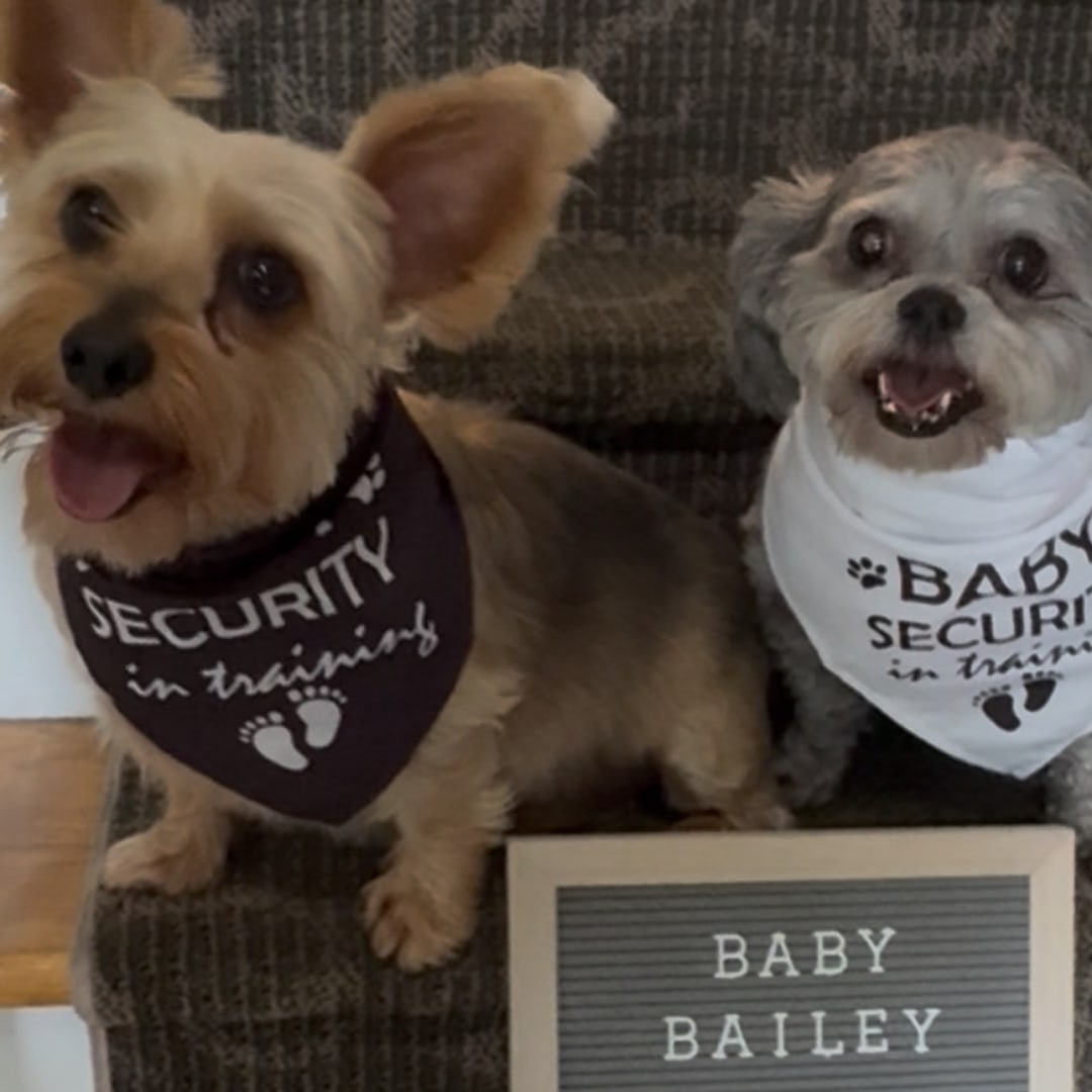 Photo shared by Alyssa for their Babylist baby registry.