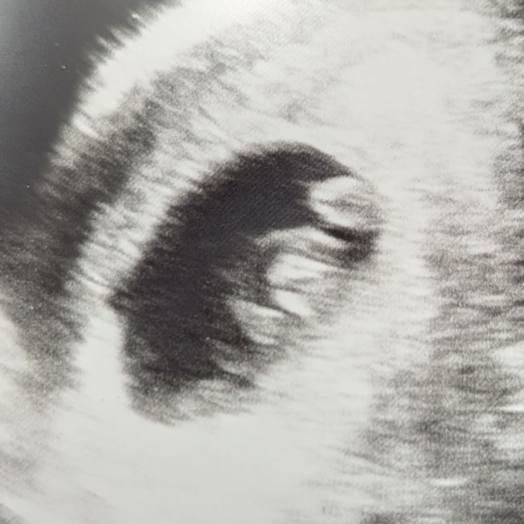 Photo shared by Josephine for their Babylist baby registry.