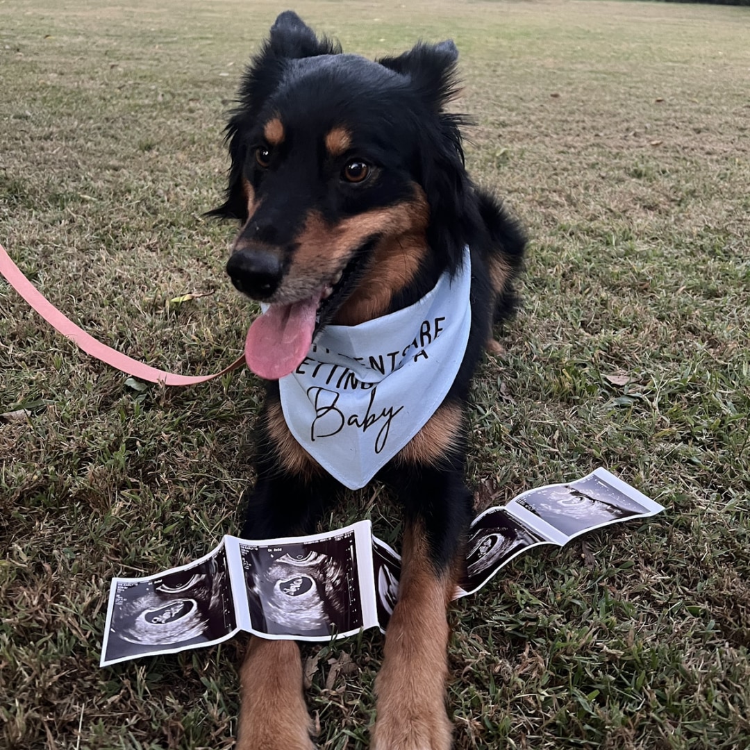 Photo shared by Brittany for their Babylist baby registry.