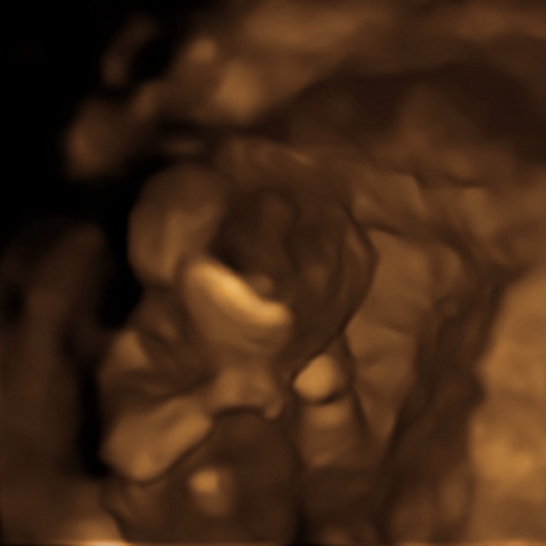 Photo shared by Isabela for their Babylist baby registry.