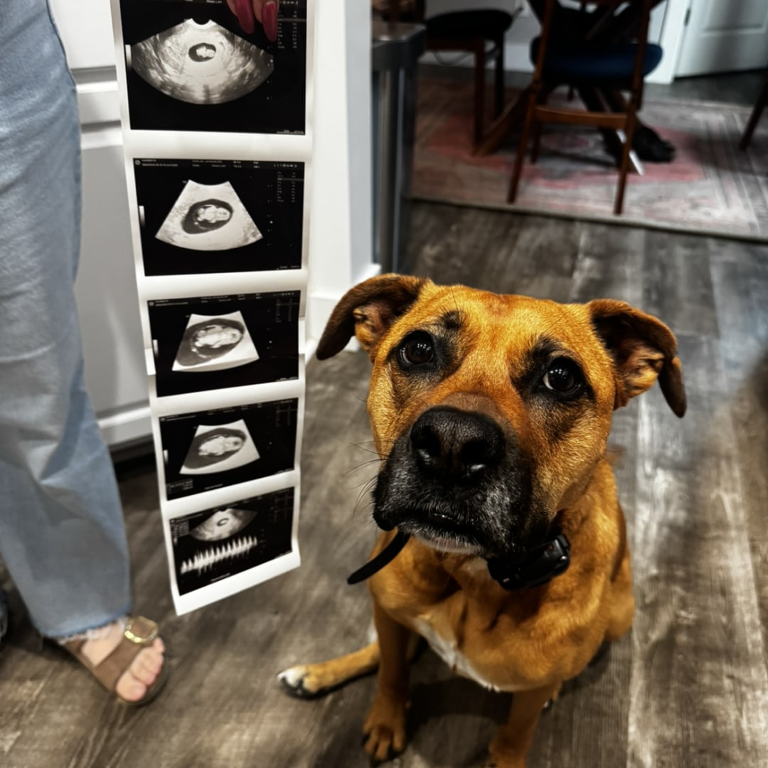 Photo shared by Jackie for their Babylist baby registry.