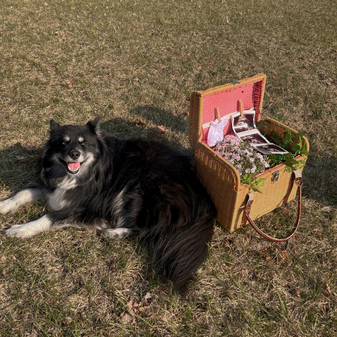 Photo shared by Eliza for their Babylist baby registry.