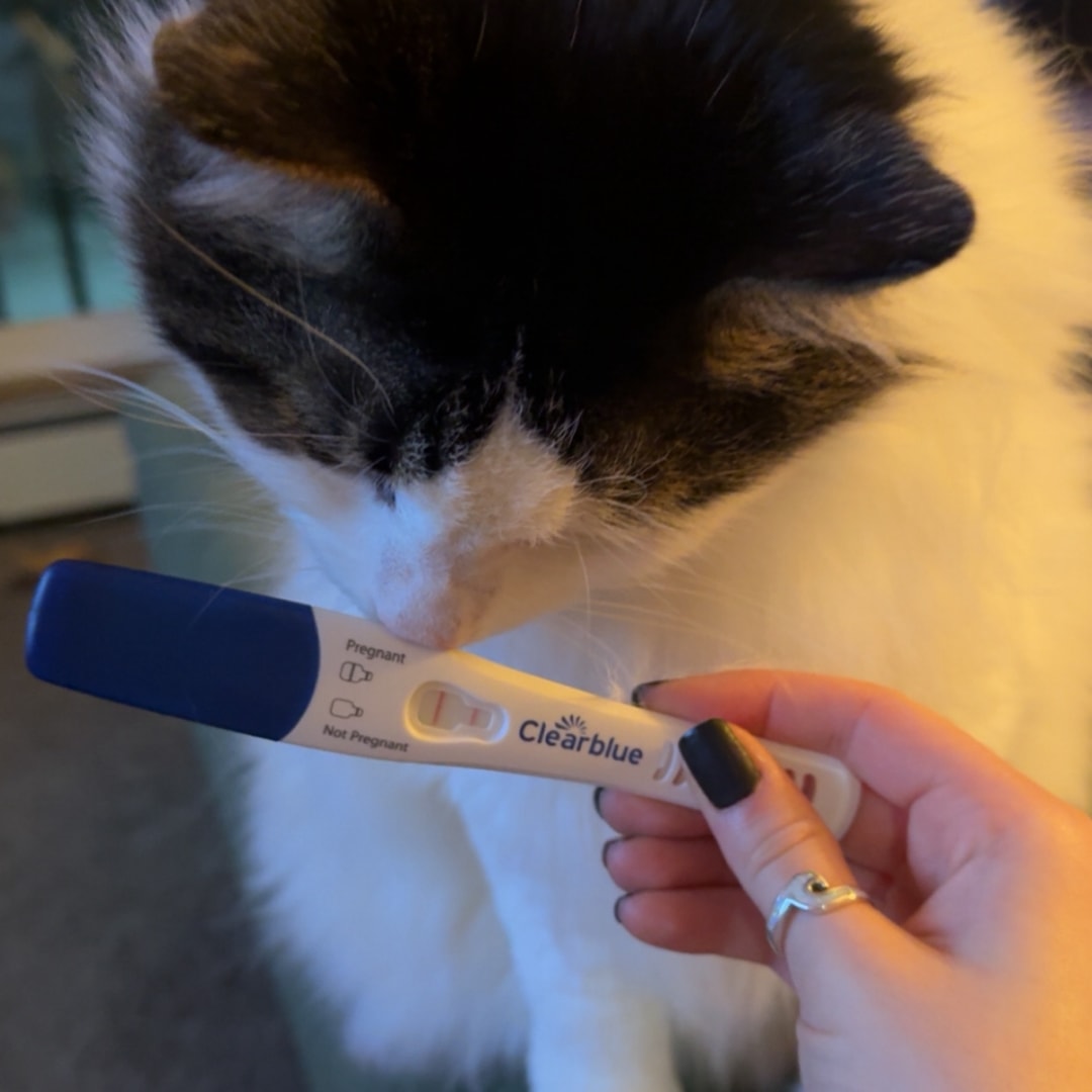 Photo shared by Alexandria for their Babylist baby registry.