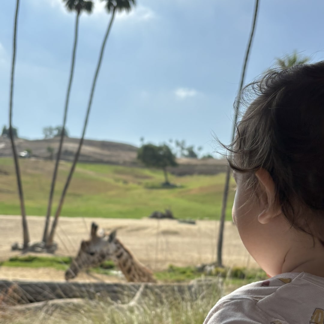 Photo shared by Emma for their Babylist baby registry.