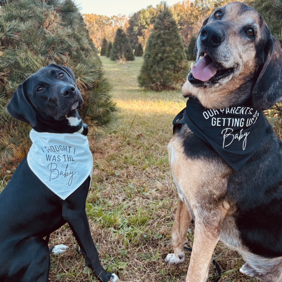 Photo shared by Kelly for their Babylist baby registry.