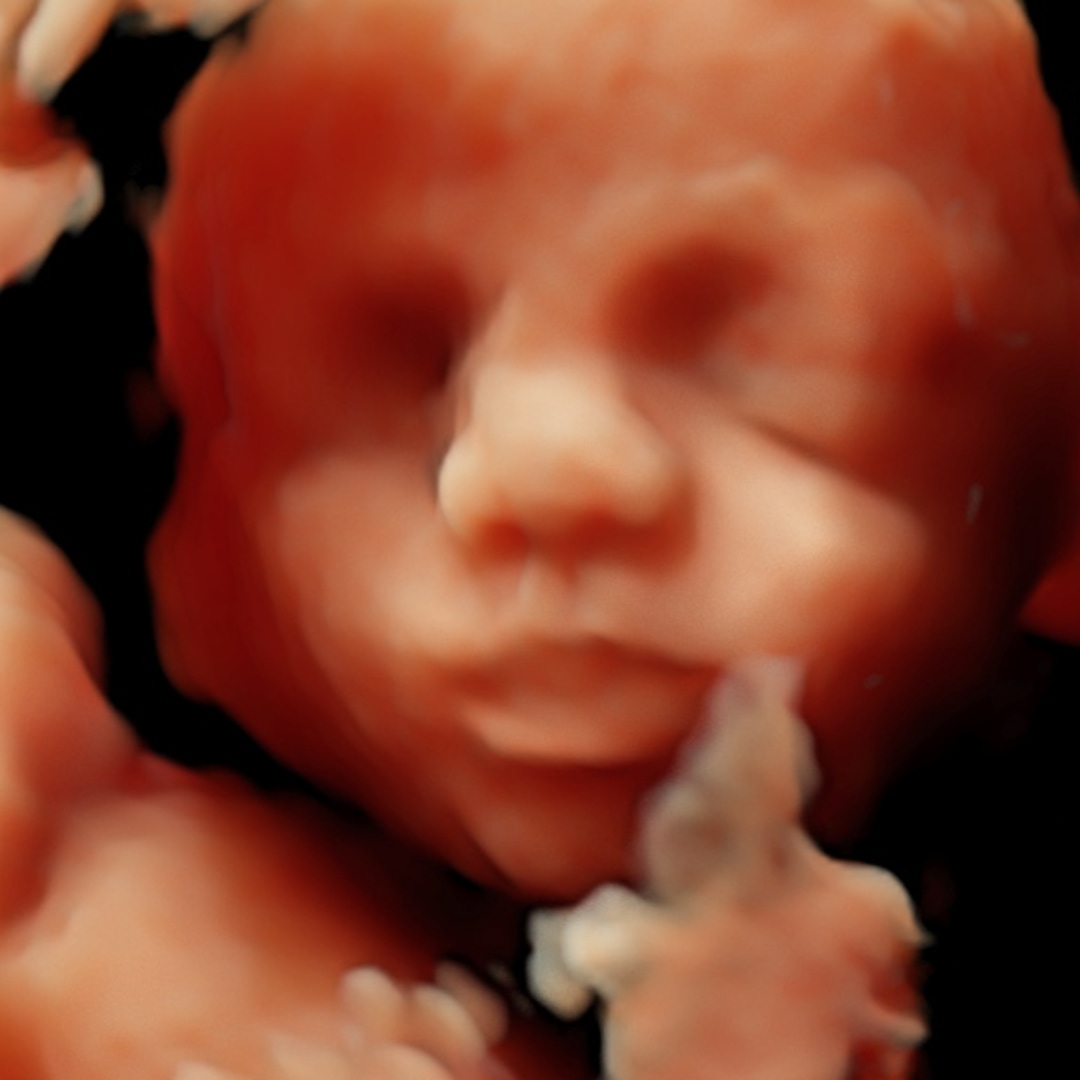 Photo shared by Claudia Michelle for their Babylist baby registry.