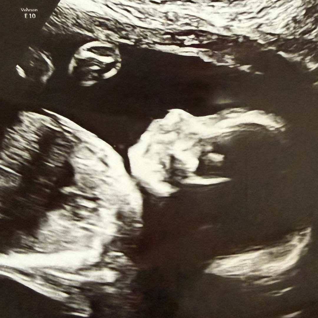 Photo shared by Emily for their Babylist baby registry.