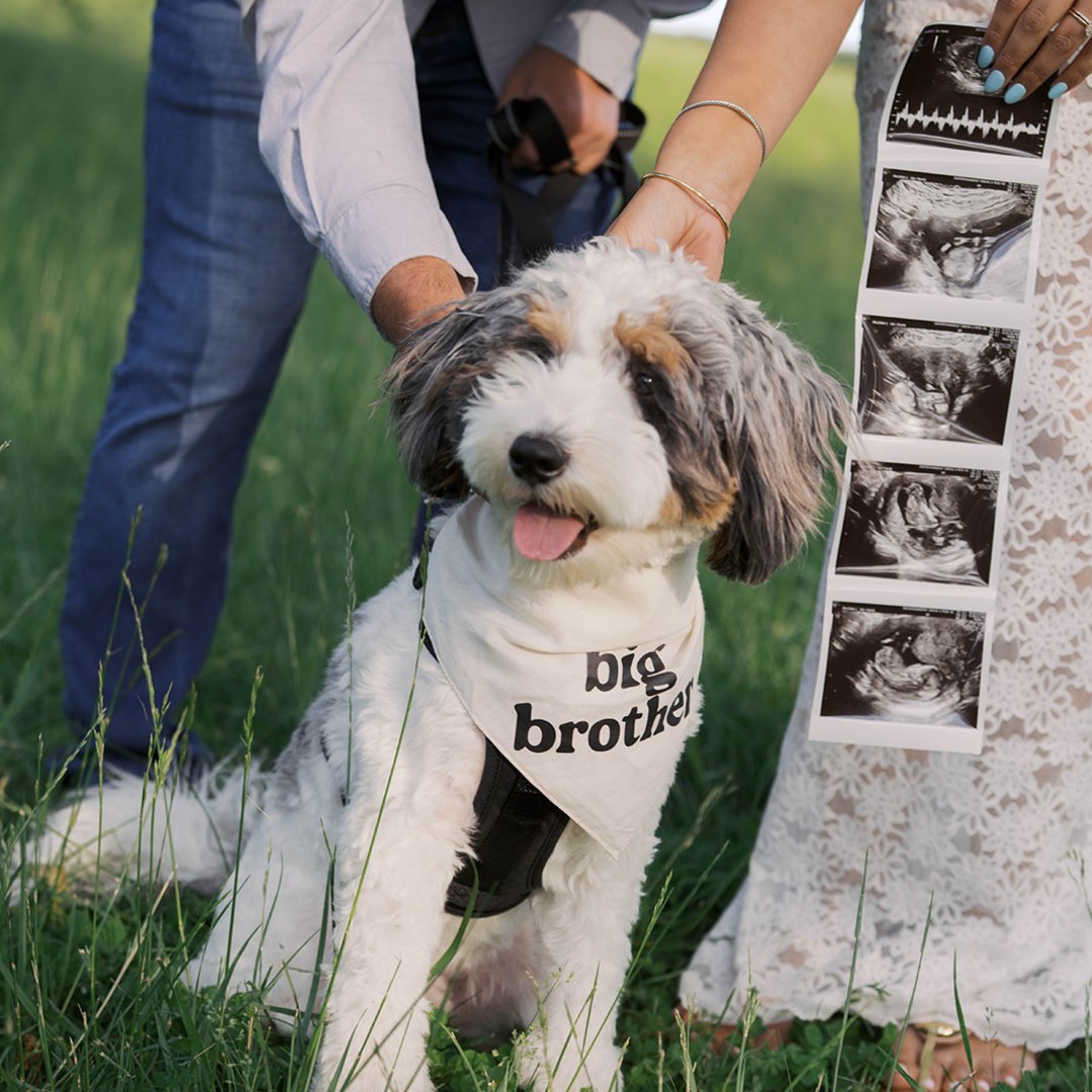 Photo shared by Paloma for their Babylist baby registry.