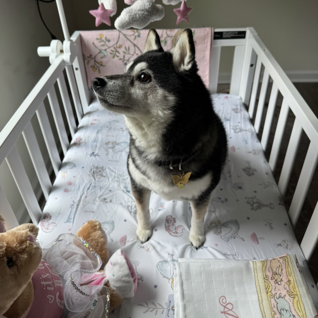 Photo shared by Jennifer for their Babylist baby registry.