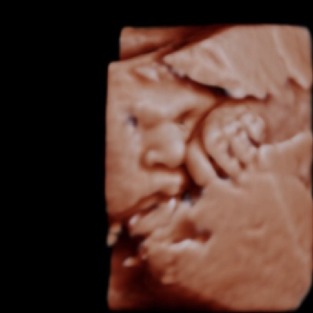 Photo shared by Sadez for their Babylist baby registry.