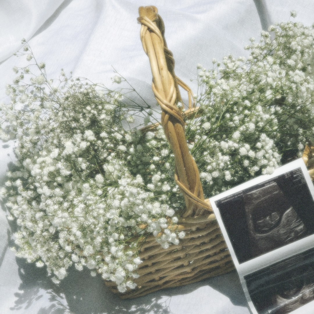 Photo shared by Lindsay for their Babylist baby registry.