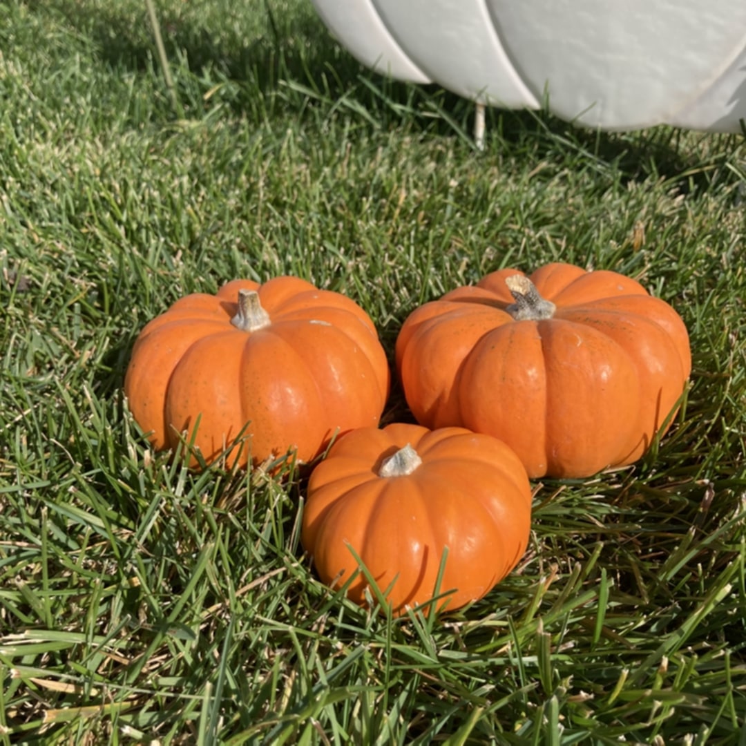 Photo shared by Elisha for their Babylist baby registry.