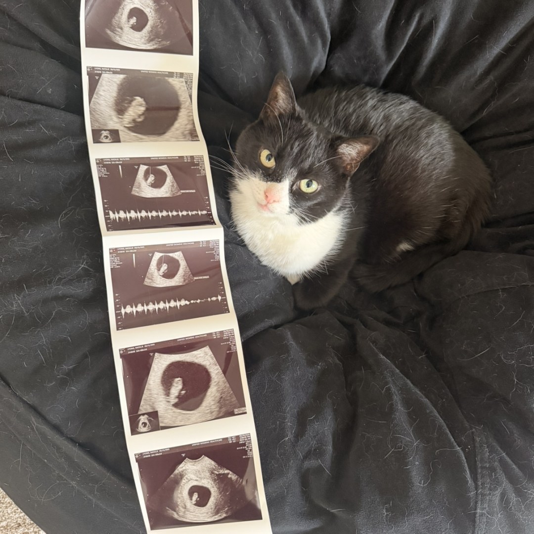 Photo shared by Natalie for their Babylist baby registry.