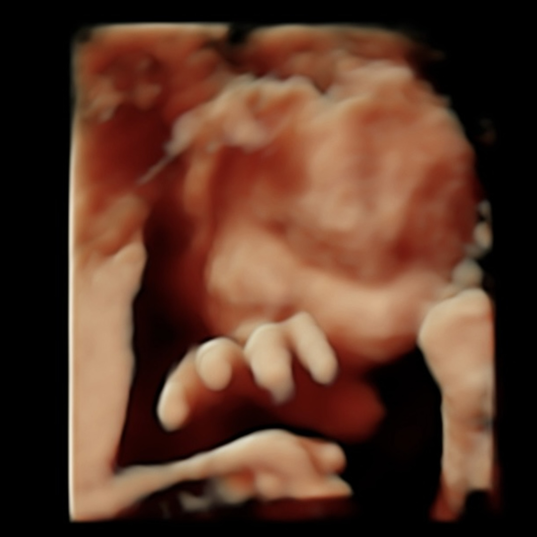 Photo shared by Camree for their Babylist baby registry.