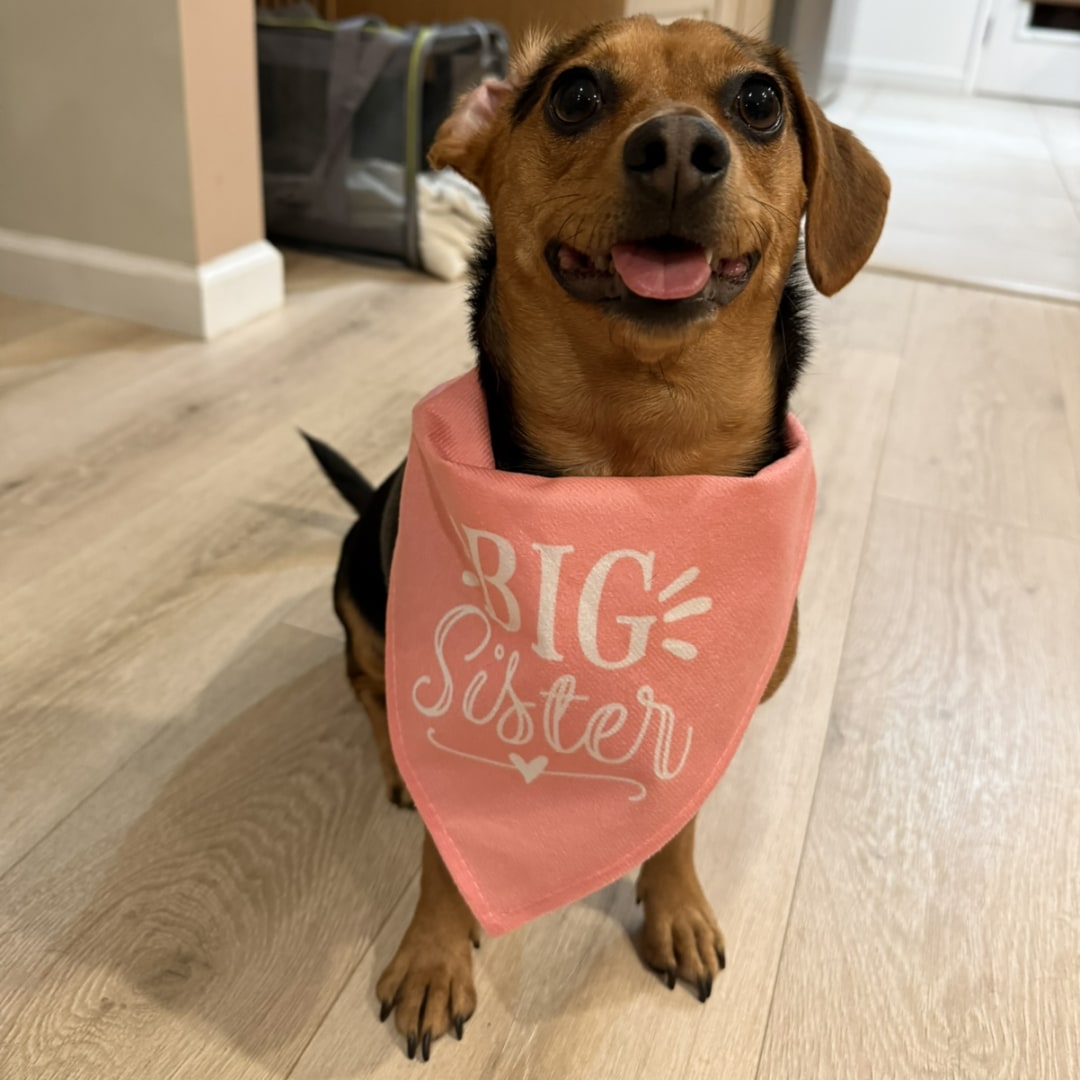 Photo shared by Maria for their Babylist baby registry.