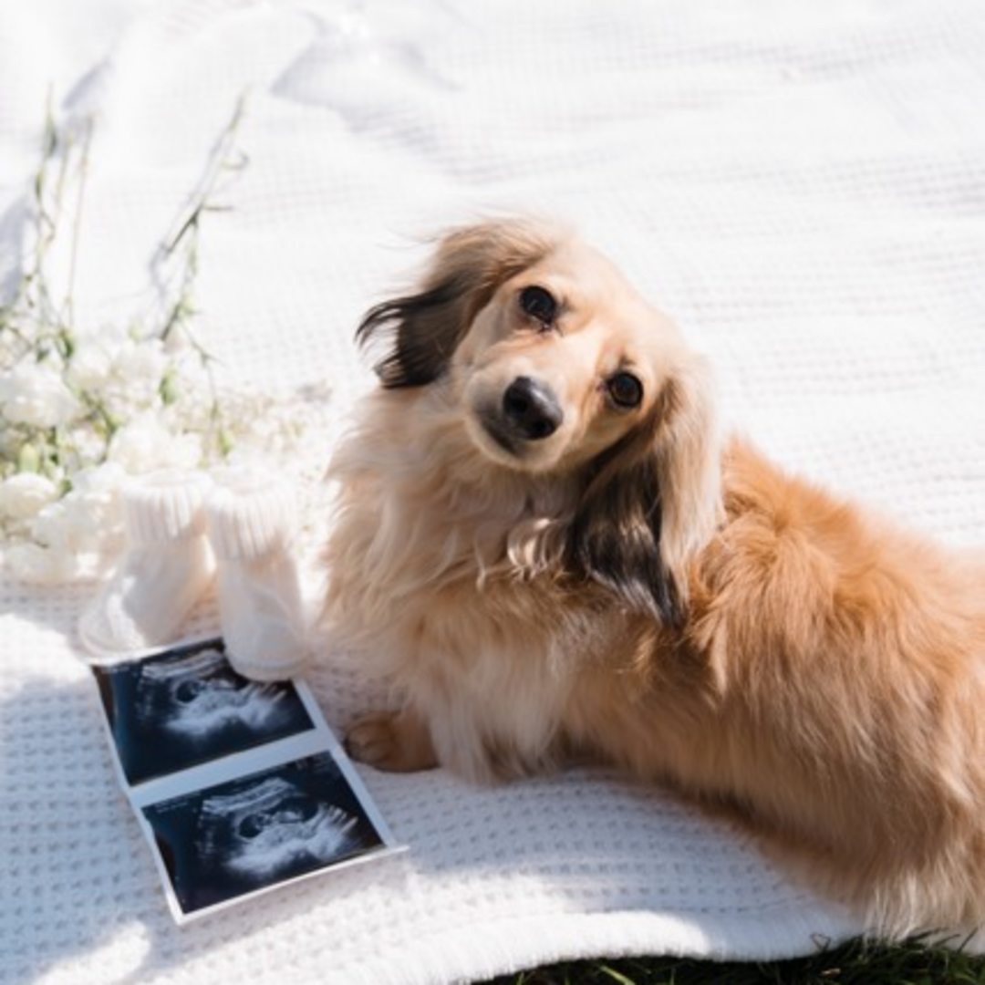 Photo shared by Cayla for their Babylist baby registry.