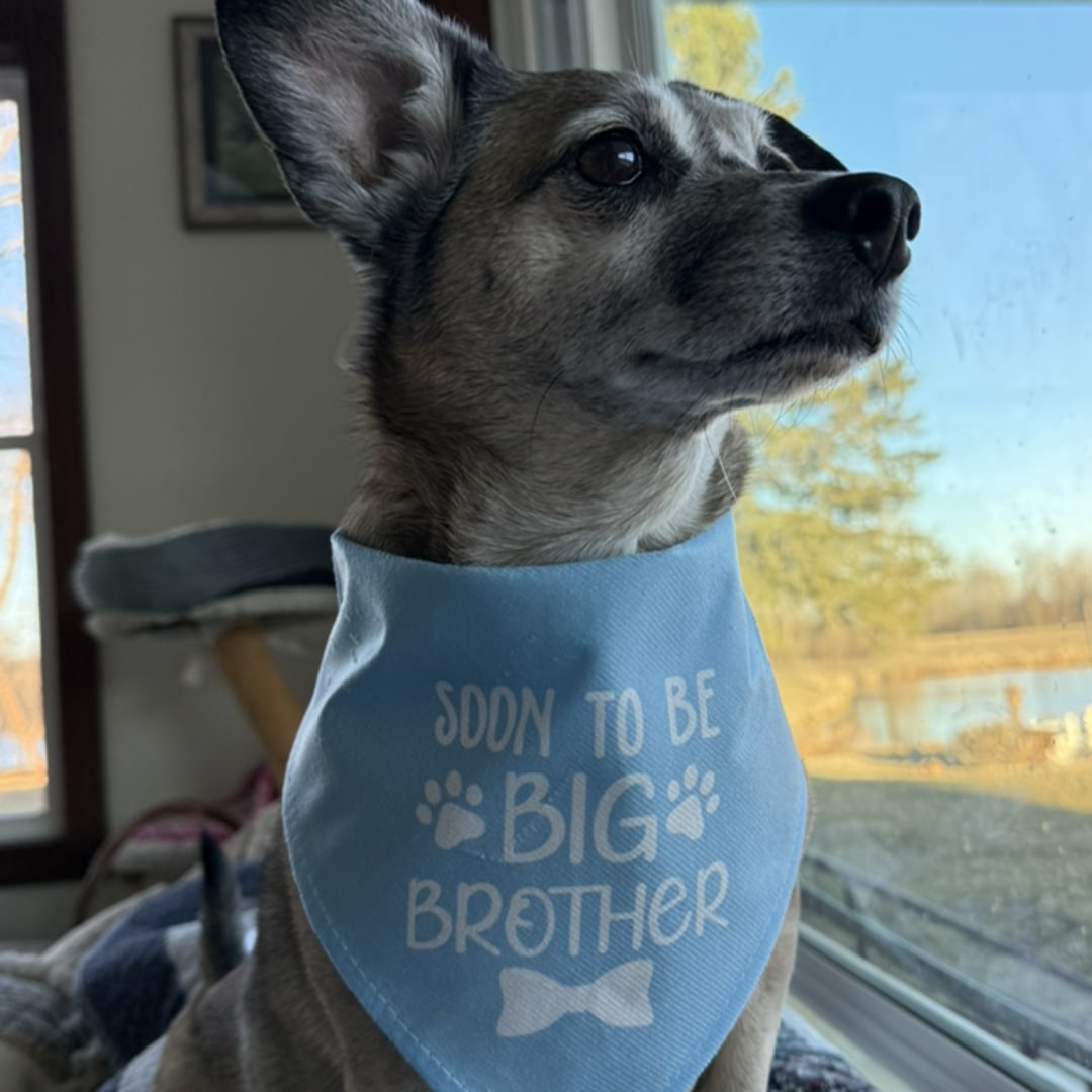 Photo shared by Heidi for their Babylist baby registry.