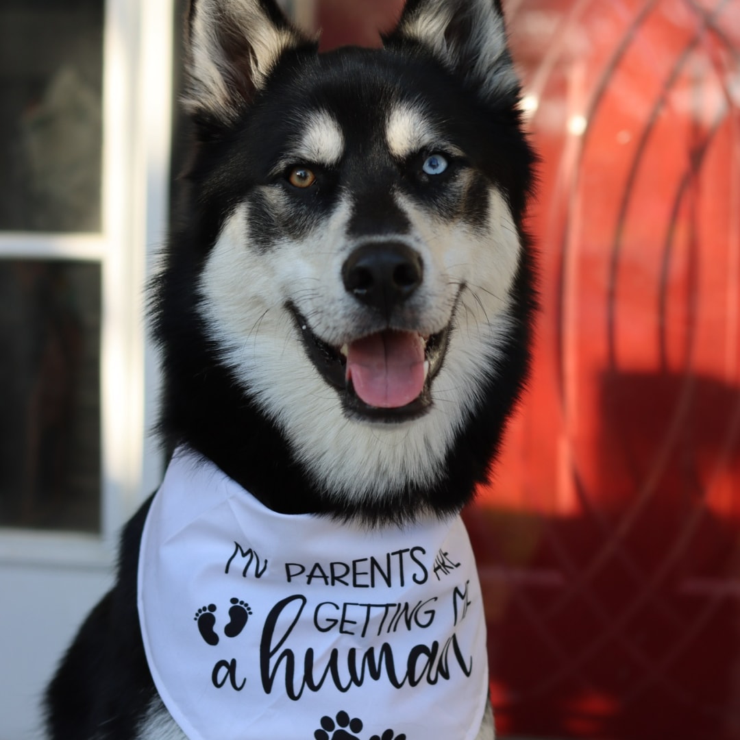 Photo shared by Katie for their Babylist baby registry.