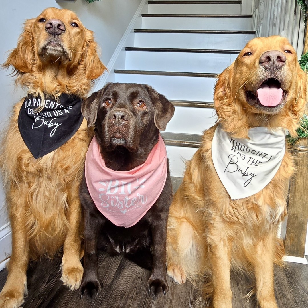 Photo shared by Maria for their Babylist baby registry.