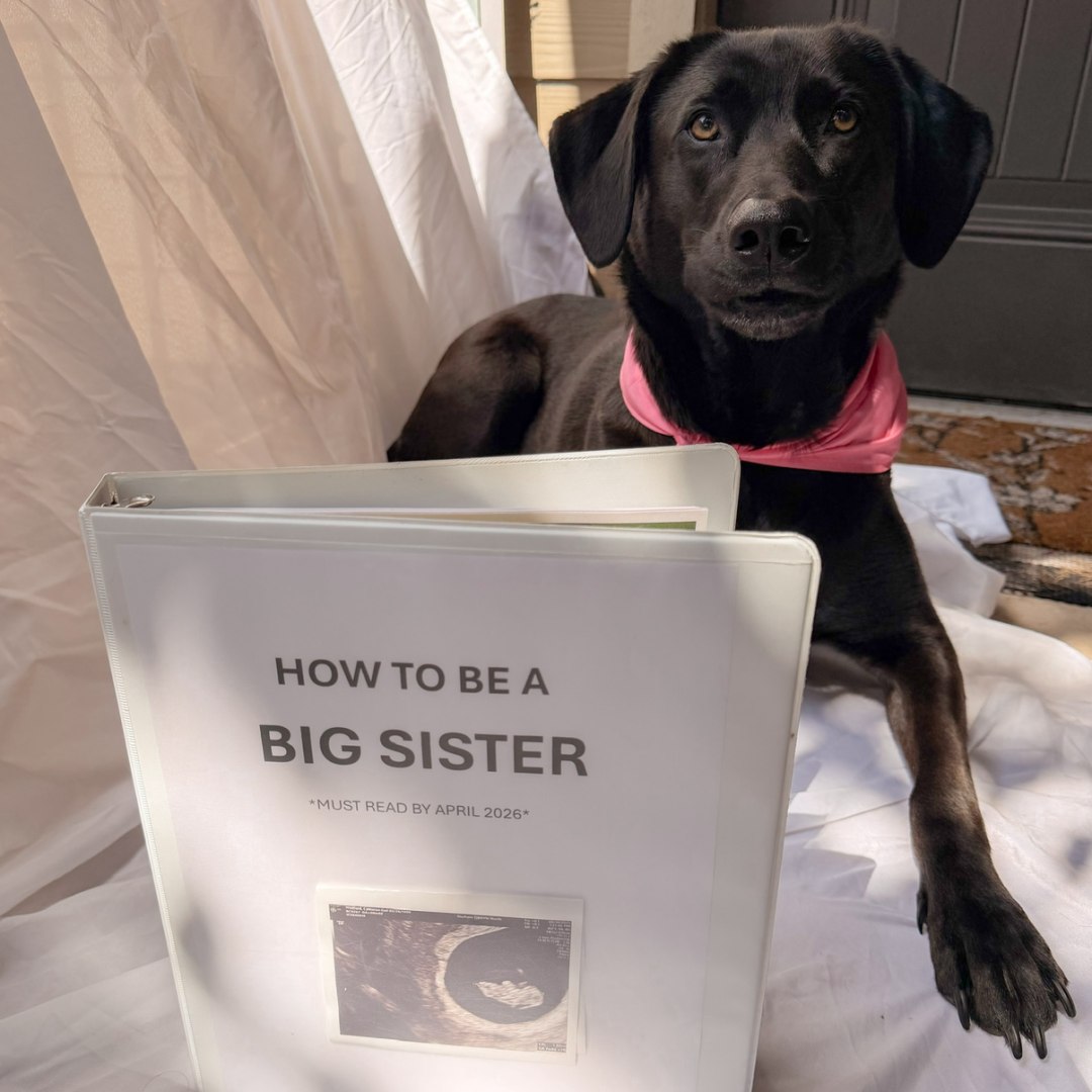 Photo shared by Cameron for their Babylist baby registry.