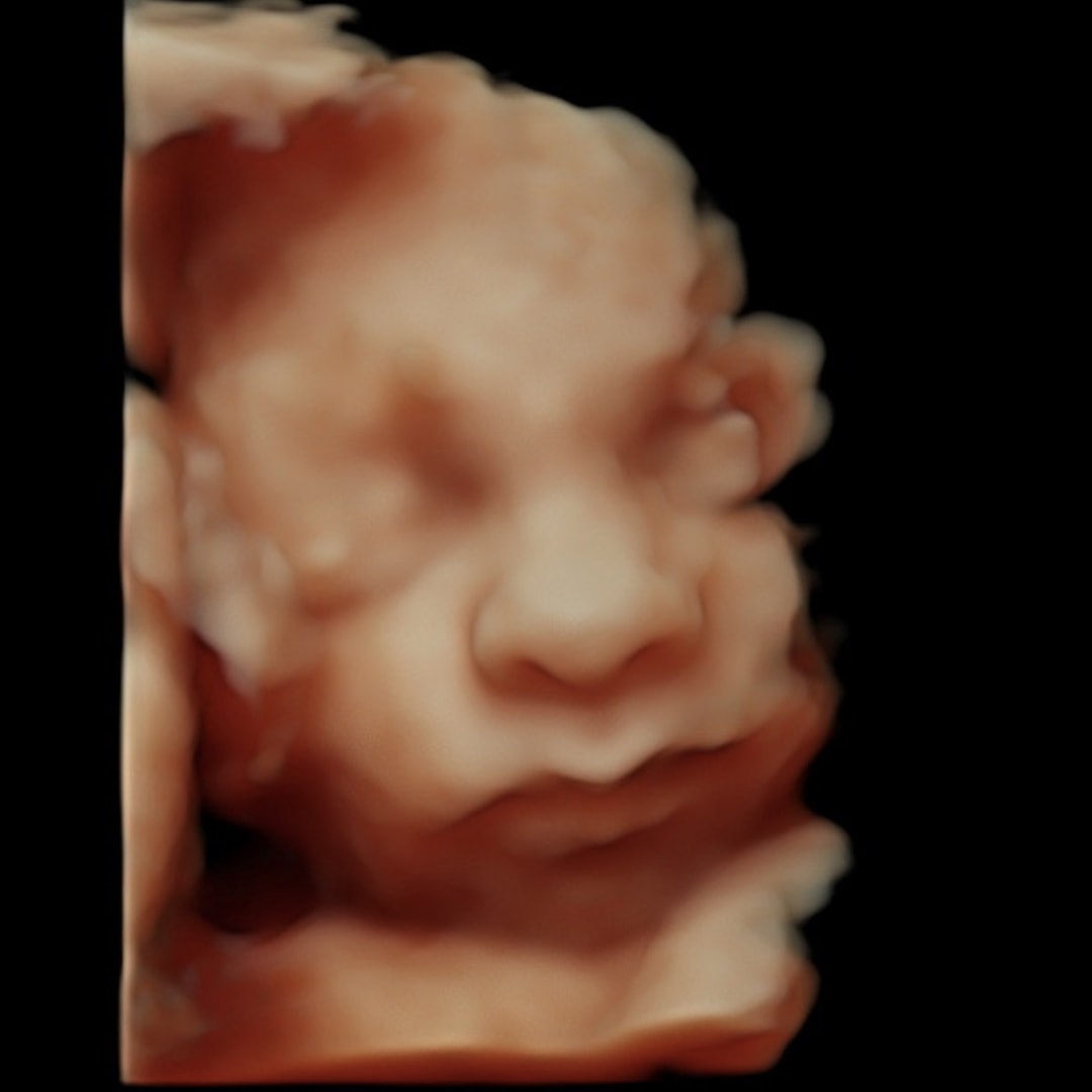 Photo shared by Alexa for their Babylist baby registry.