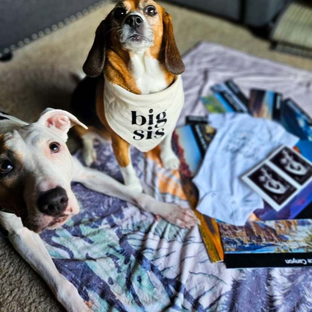 Photo shared by Caitlyn for their Babylist baby registry.