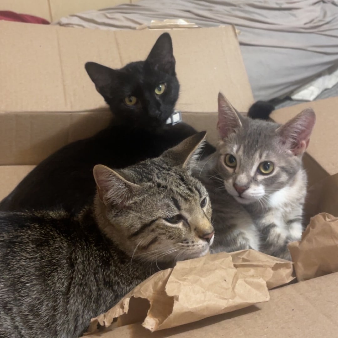 Photo shared by Sami for their Babylist baby registry.