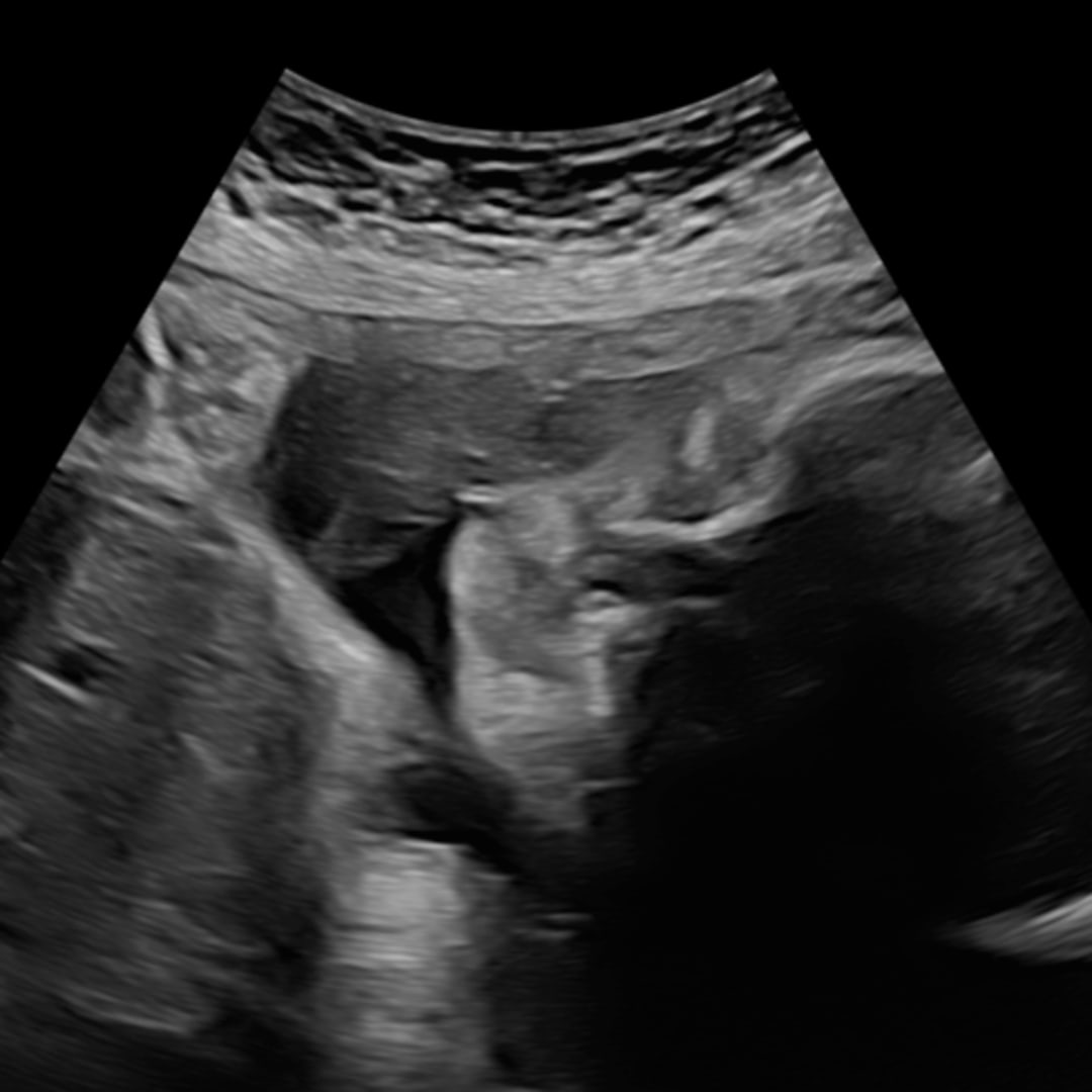 Photo shared by Yariela for their Babylist baby registry.