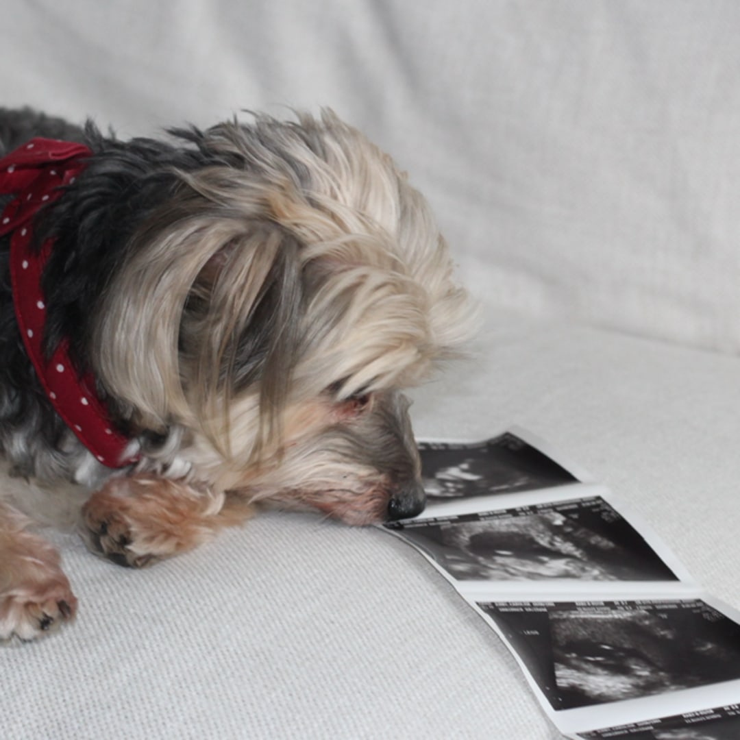 Photo shared by Caroline for their Babylist baby registry.