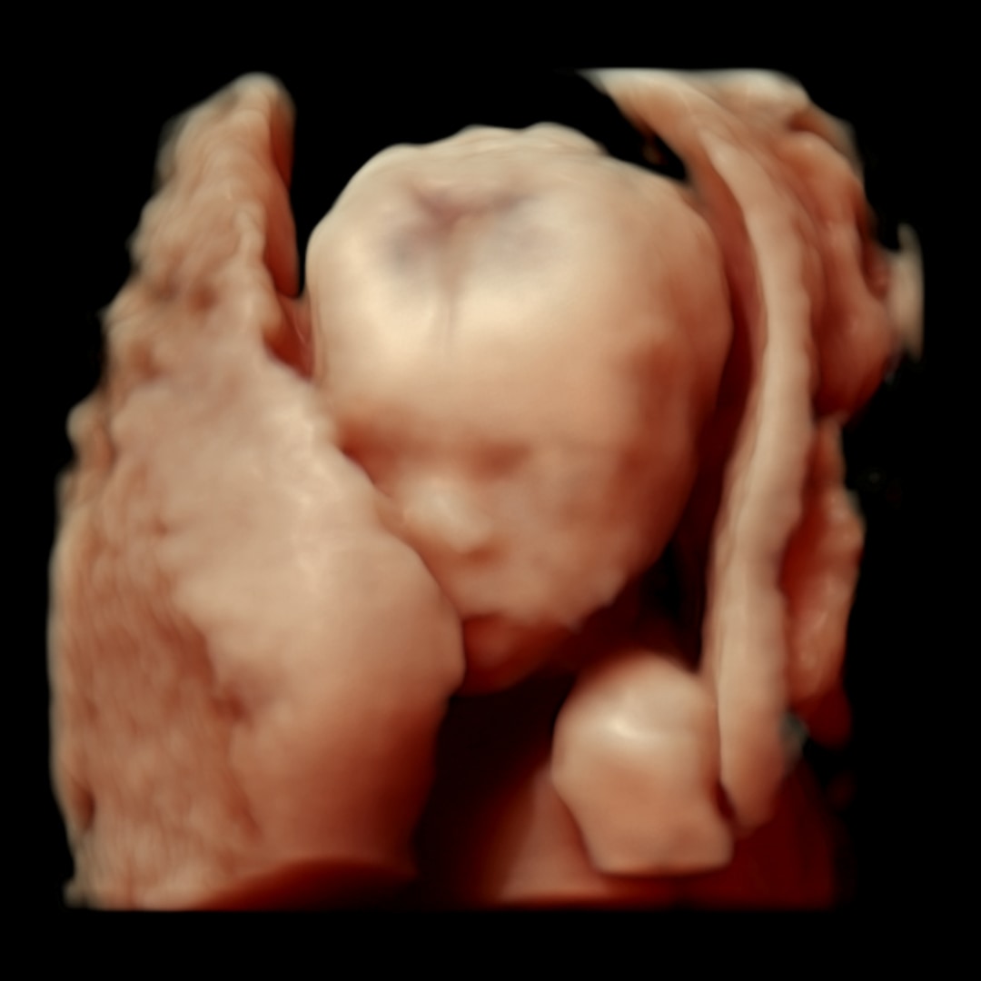 Photo shared by Natasha for their Babylist baby registry.